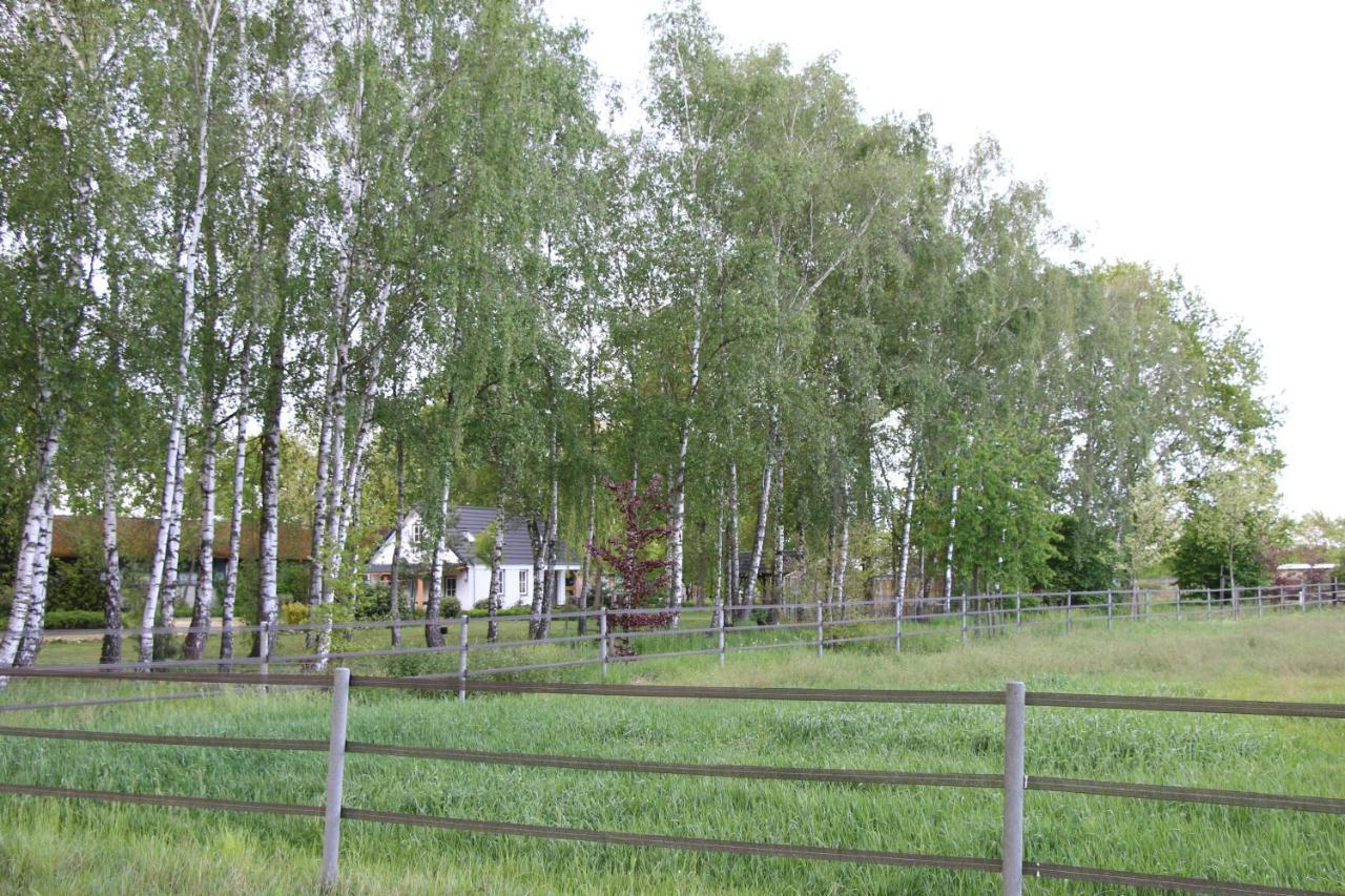 B&B Het Mooie Uitzicht Reuver エクステリア 写真