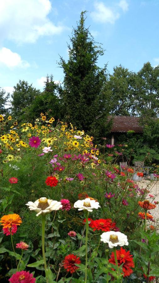 B&B Het Mooie Uitzicht Reuver エクステリア 写真