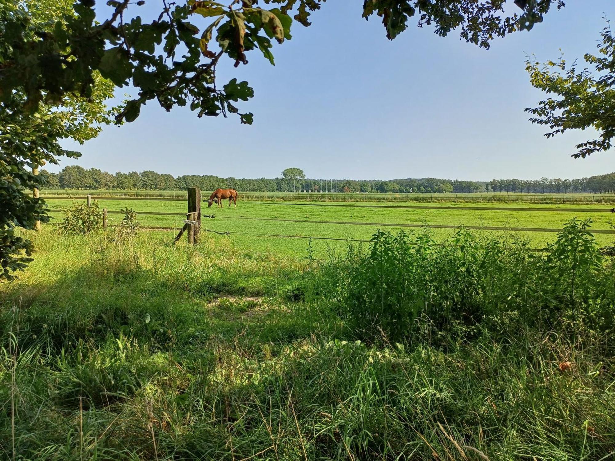B&B Het Mooie Uitzicht Reuver エクステリア 写真