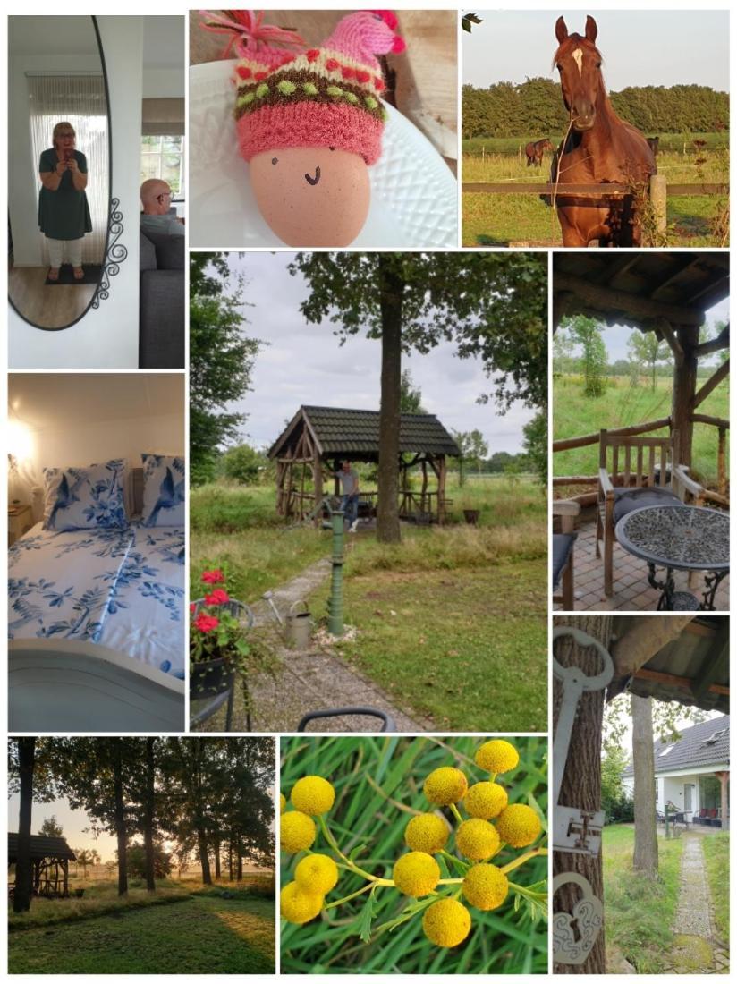B&B Het Mooie Uitzicht Reuver エクステリア 写真
